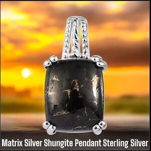Matrix Silver Shungite Sterling Silver Pendant NWOT